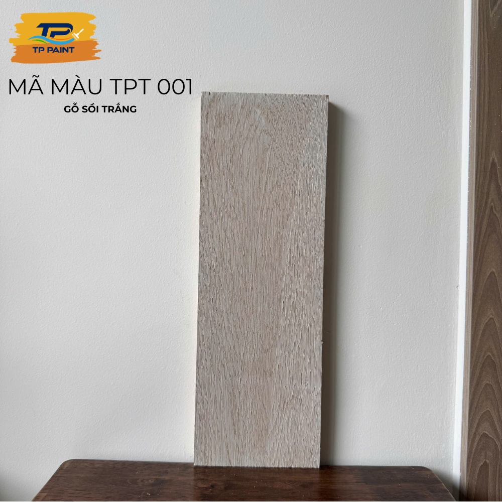 MÃ MÀU SƠN LAU GỖ TPT 001 - TP PAINT — ảnh 3